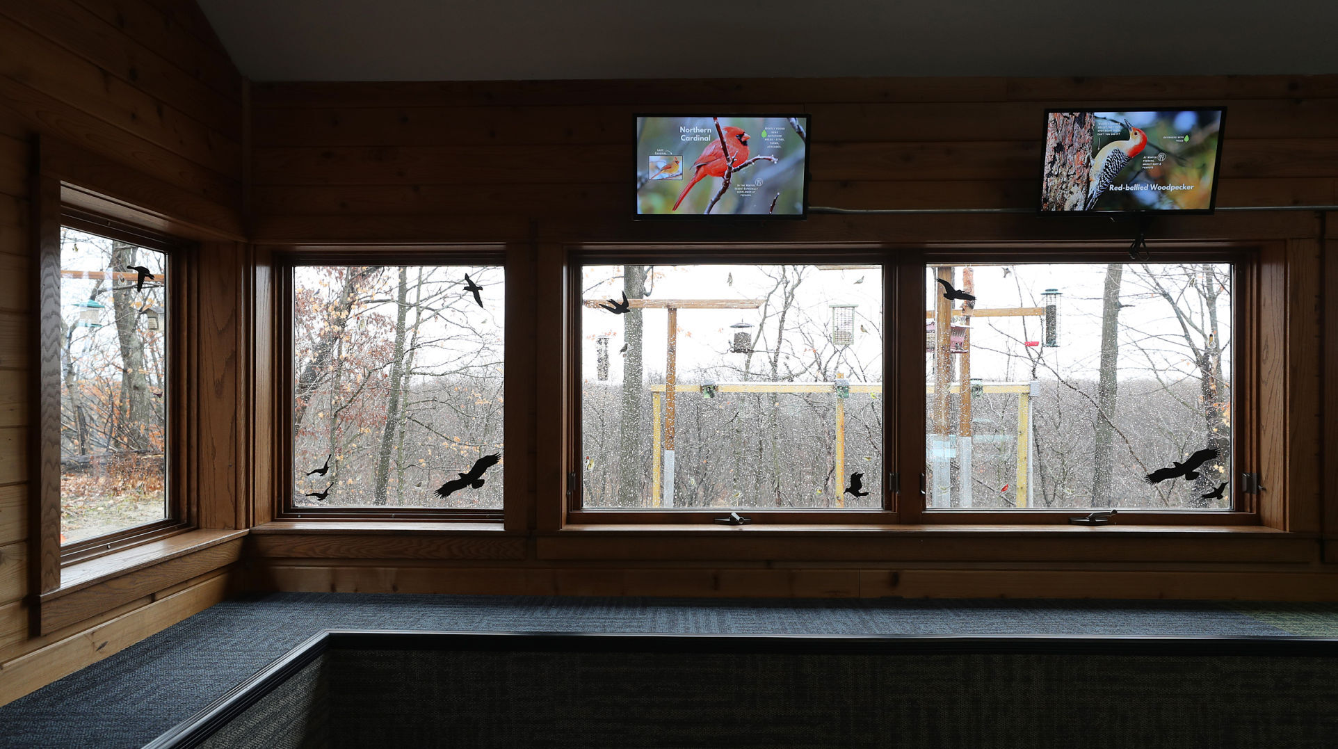 111020bp-hartman-birdwatching-1